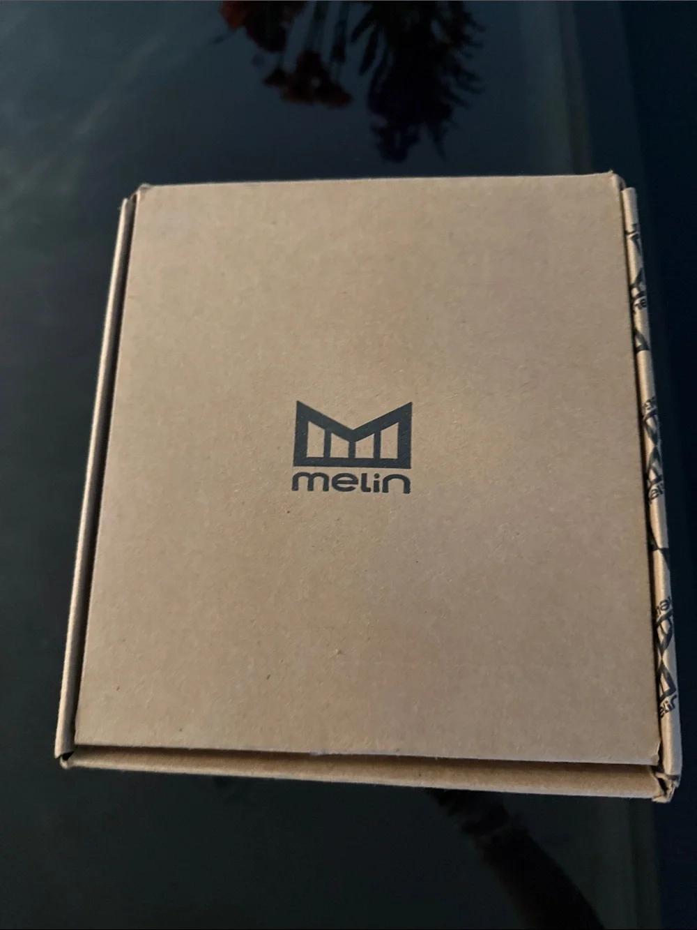 Mens Melin hat